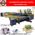 5 layers co-extrusion air bubble film extrusion production linery